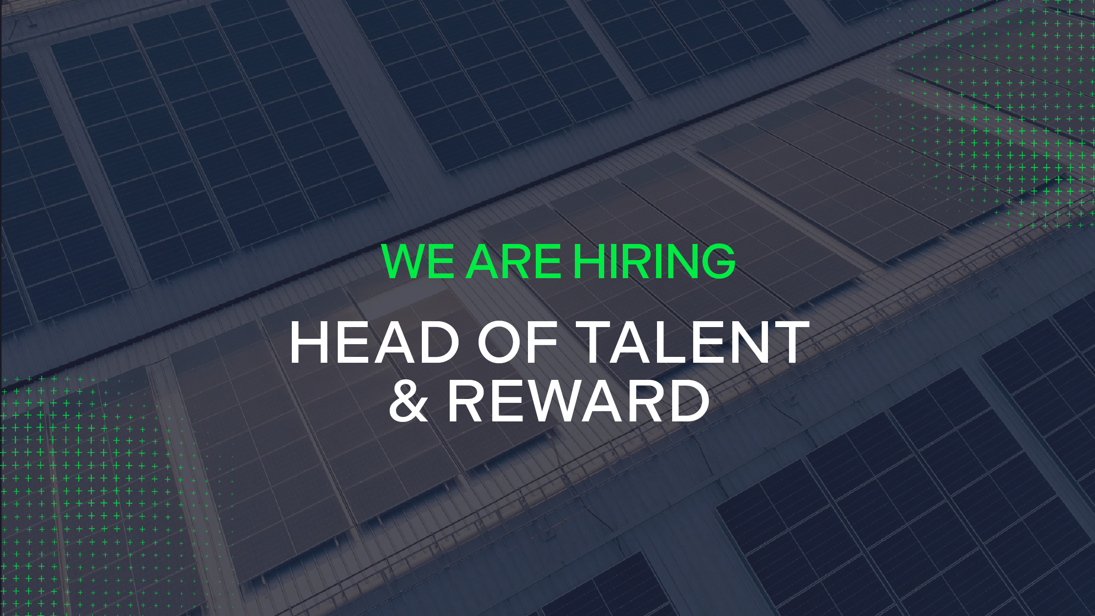 WE ARE HIRING: HEAD OF TALENT AND REWARD